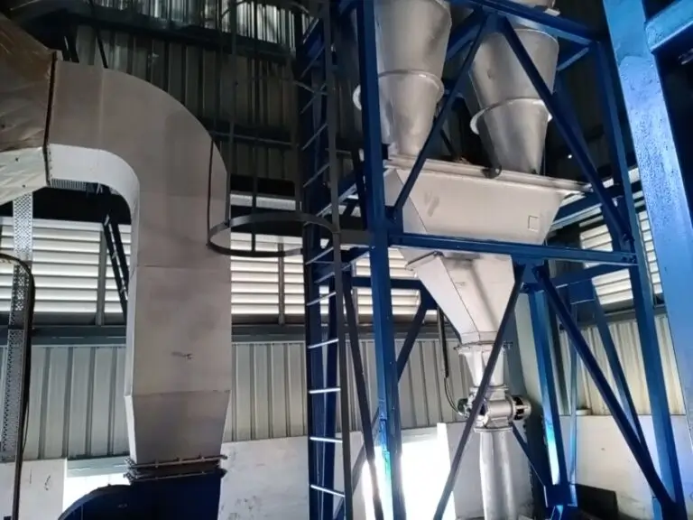 a black cat and a white cat